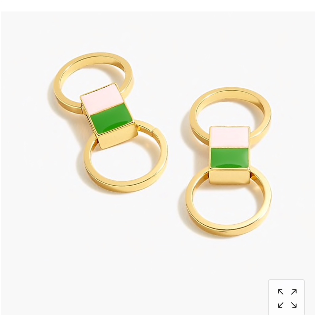 Enamel Double Hoop Earrings Nwt